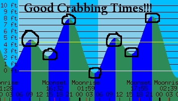 Crabbing Tide Chart