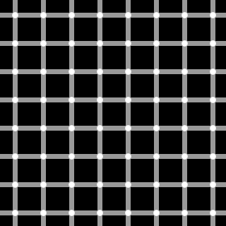 Grid_illusion.svg